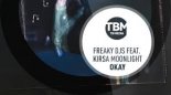 Freaky DJs ft. Kirsa Moonlight - Okay (KaktuZ Remix)