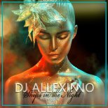 DJ Allexinno - Ships in the Night