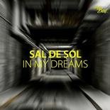Sal De Sol - In My Dreams (Extended Mix)
