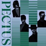 Pectus feat. Kayah - Przejazdem