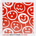 Cash Cash ft. Wrabel - Mean It (Vice Remix)
