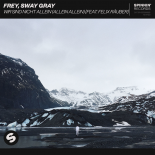 Frey, Sway Gray - Wir Sind Nicht Allein (Allein Allein) [Feat. Felix Räuber]
