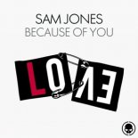 Sam Jones - Because Of You (Extended Mix)