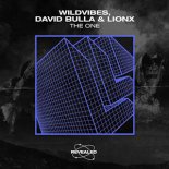 WildVibes, David Bulla & LionX - The One (Extended Mix)