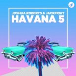 Jackfruit & Joshua Roberts - Havana 5 (Radio Edit)