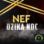 NEF - Dzika Noc (Radio Edit)