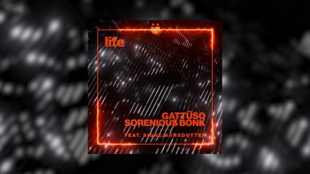 GATTÜSO & Sorenious Bonk - Life