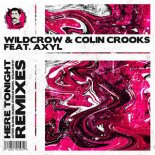 Wildcrow & Colin Crooks & AXYL - Here Tonight (Aitor Blond Remix)