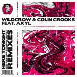 Wildcrow & Colin Crooks & AXYL - Here Tonight (MANU Remix)