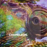 Boris Brejcha - Chameleon (Original Mix)