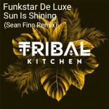 Funkstar De Luxe - Sun Is Shining (Sean Finn Extended Remix)