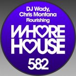 DJ Wady, Chris Montana - Flourishing (Original Mix)
