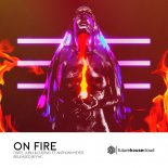 Divite, Jubly & CUERVO ft. Anthony Meyer - On Fire (Original Mix)