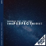 Sashman feat. Toni Fox - The Perfect Night (Naptone Remix Extended)