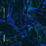 Jozels - Milka (Extended Mix)