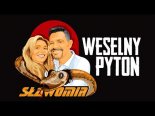 SŁAWOMIR - Weselny Pyton