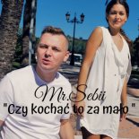 MR SEBII - Czy kochac to za malo (DJ Zibi Radio Remix)