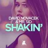 David Novacek, Mr. Sid - Shakin\' (Original Club Mix)