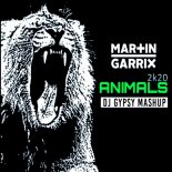 Martin Garrix - Animals 2k20 (DJ Gypsy Mashup)