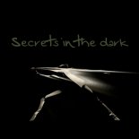 Chris Lake - Secrets In The Dark (2ways Remix)