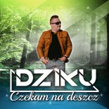 Dziku - Czekam Na Deszcz (Radio Edit)