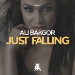 Ali Bakgor - Just Falling (Original Club Mix)