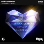 Timmy Trumpet - Diamonds (Bass Modulators Extended Remix)