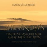 Dimitri Vegas & Like Mike & Afro Bros feat. Akon - She Knows (Jaxx & Vega Extended Remix)