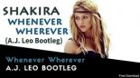 Shakira - Whenever Wherever (A.J.Leo Bootleg)
