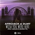 Afrojack & DLMT feat. Brandyn Burnette - Wish You Were Here