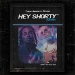 Chris Andrew Y Ozuna - Hey Shorty (Remix)