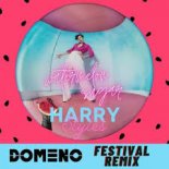Harry Styles - Watermelon Sugar (DOMENO Festival Mix)