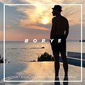 Borys LBD, Simonu - Party Animal (Remix)