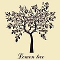 Jemme, The Second Level, Minus Manus - Lemon Tree