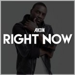 Akon - Right Now ( EYaH & RedMonkey Bounce Bootleg ) + WAV
