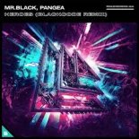 MR.BLACK, Pangea - Heroes (Blackcode Extended Remix)