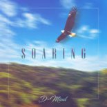 D-Mind - Soaring (Extended Mix)