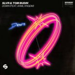 SLVR & Tom Budin feat. ANML KNGDM - Down (Extended Mix)