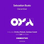 Sebastian Busto - December (Dmitry Molosh Remix)