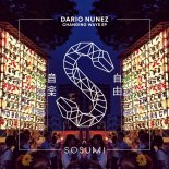 Dario Nunez - Changing Ways (Original Mix)