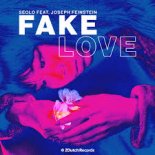Seolo - Fake Love (Radio Edit)