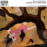 BLR & Redondo Feat. Lydia Lyon - Low Key (Extended Mix)