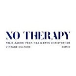 Felix Jaehn feat. Nea & Bryn Christopher - No Therapy (Vintage Culture Edit Remix)