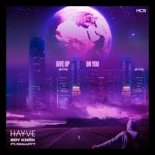Hayve x Roy Knox Feat. Imallryt - Give Up On You