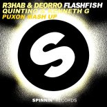 R3hab & Deorro & Quintino & Kenneth G - Flashfish (PuXoN Mashup)