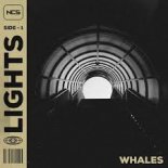 Whales - Lights