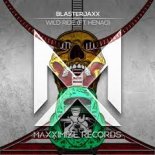 Blasterjaxx ft. Henao - Wild Ride (Radio Edit)