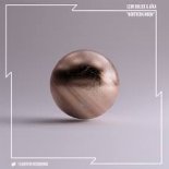 Leon Bolier & AÏKA - Northern Moon (Progressive Trance)