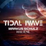 Markus Schulz & HALIENE - Tidal Wave (Daxson Extended Remix)