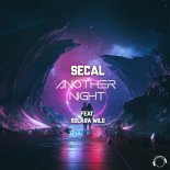 SECAL Feat. Solara Wild - Another Night (Original Mix)